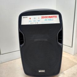 2000 Watt PA Speaker With Built In Mixer