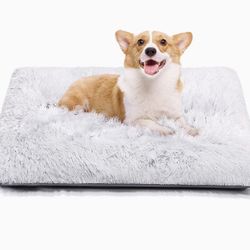 Dog Bed