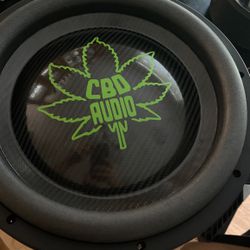 Custom Car Audio 12 Inch Subwoofer 