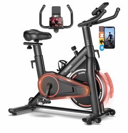 Slunse Indoor Cycling Stationary Exercise Bike