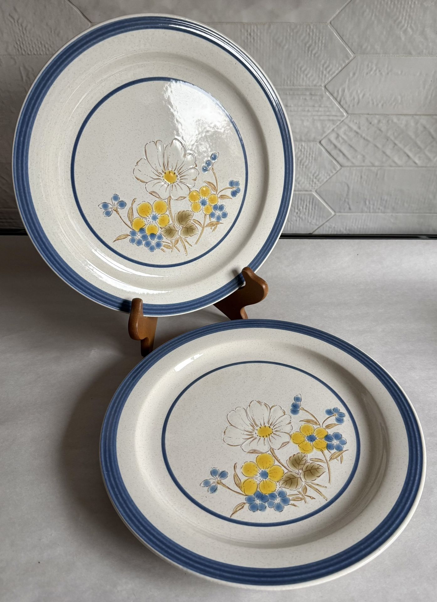 Two Vintage “Patricia” By Mt Clemens Pottery Floral Stoneware Dinner Plates