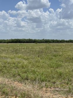 12 Acres Of Flat Pasture Land