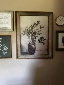 framed olive plant