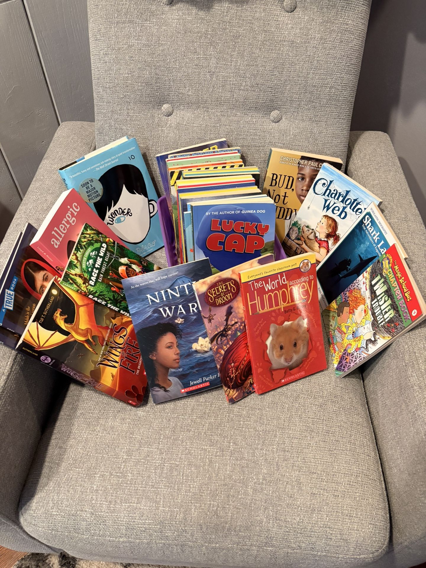 Classroom Library 