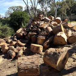 Firewood