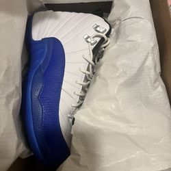 Jordan 12s Blueberry