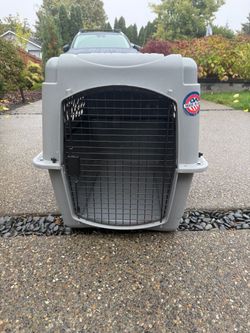 Large Petco Dog Crate