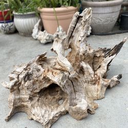 Driftwood / Aquarium Décor / Terrarium / Reptile Tank / Aquascaping / Planted Aquarium