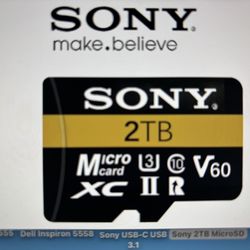 Sony 2TB Micro SD Card
