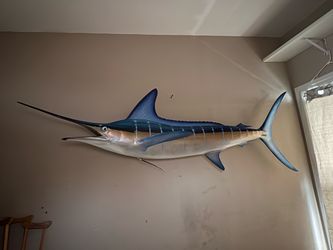 Blue Marlin full mount replica