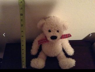 Original White Teddy Bear