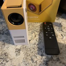 LED Projector with screen