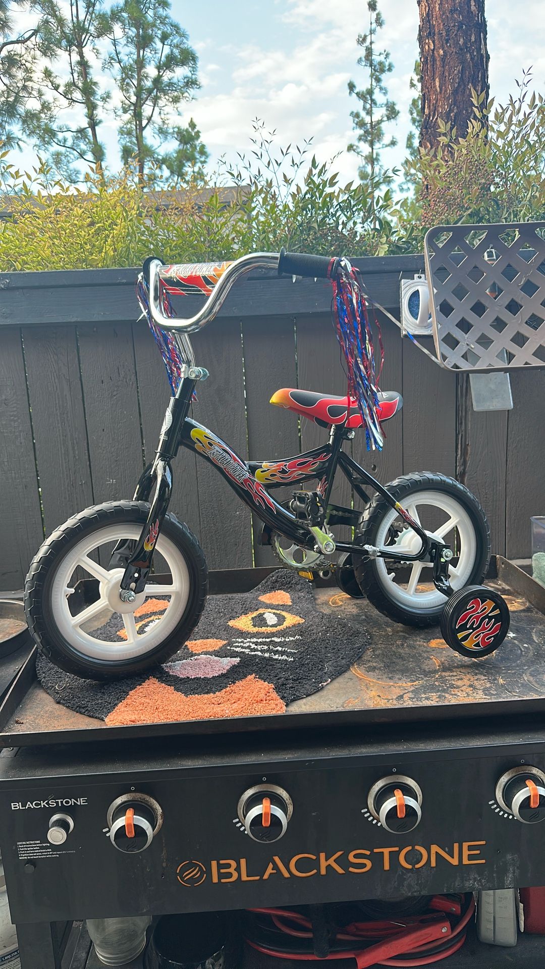 Toddler Bike 