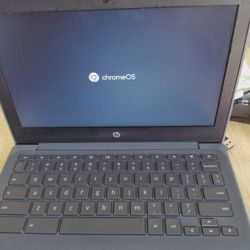 HP chromebook