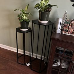 Plant Stand 
