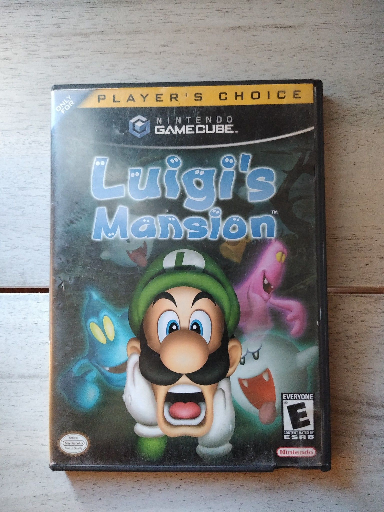 Luigi's Mansion