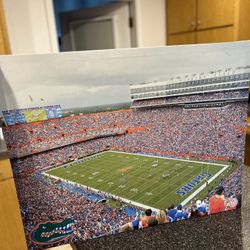 Florida Gators Swamp Canvas Print