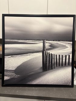 Framed Canvas