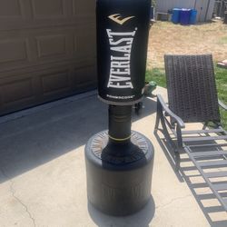 Everlast Power Core Punching Bag