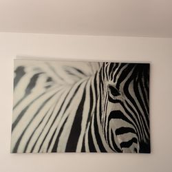 Zebra Canvas 