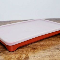 Vintage TUPPERWARE - Bacon🥓, Deli Meat, Hot Dog🌭 Keeper 
