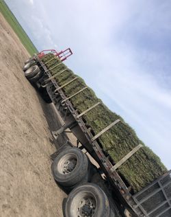 Grass Pallets (Free Delivery)