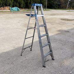 6’ Werner Ladder