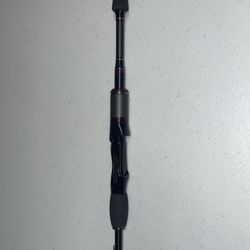 1 Spinning And 1 Casting Rod (all rods are 2pcs)
