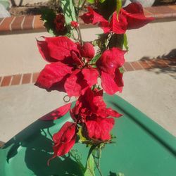 Artificial Poinsettia Garlands