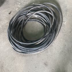 Hose