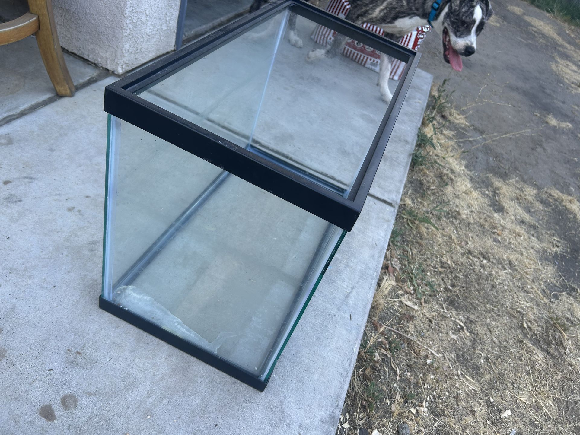 Fish tanks