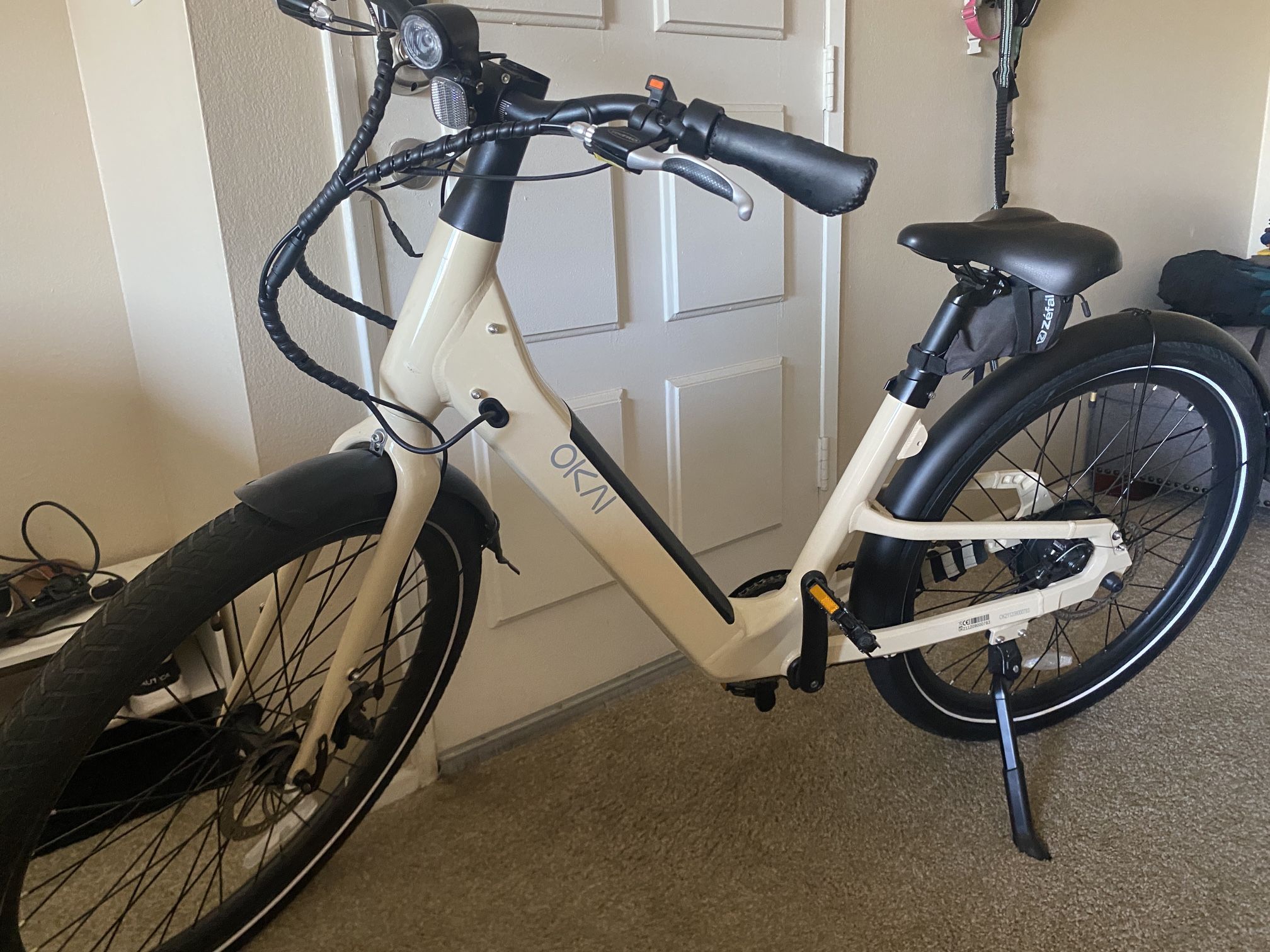 Electric Bike