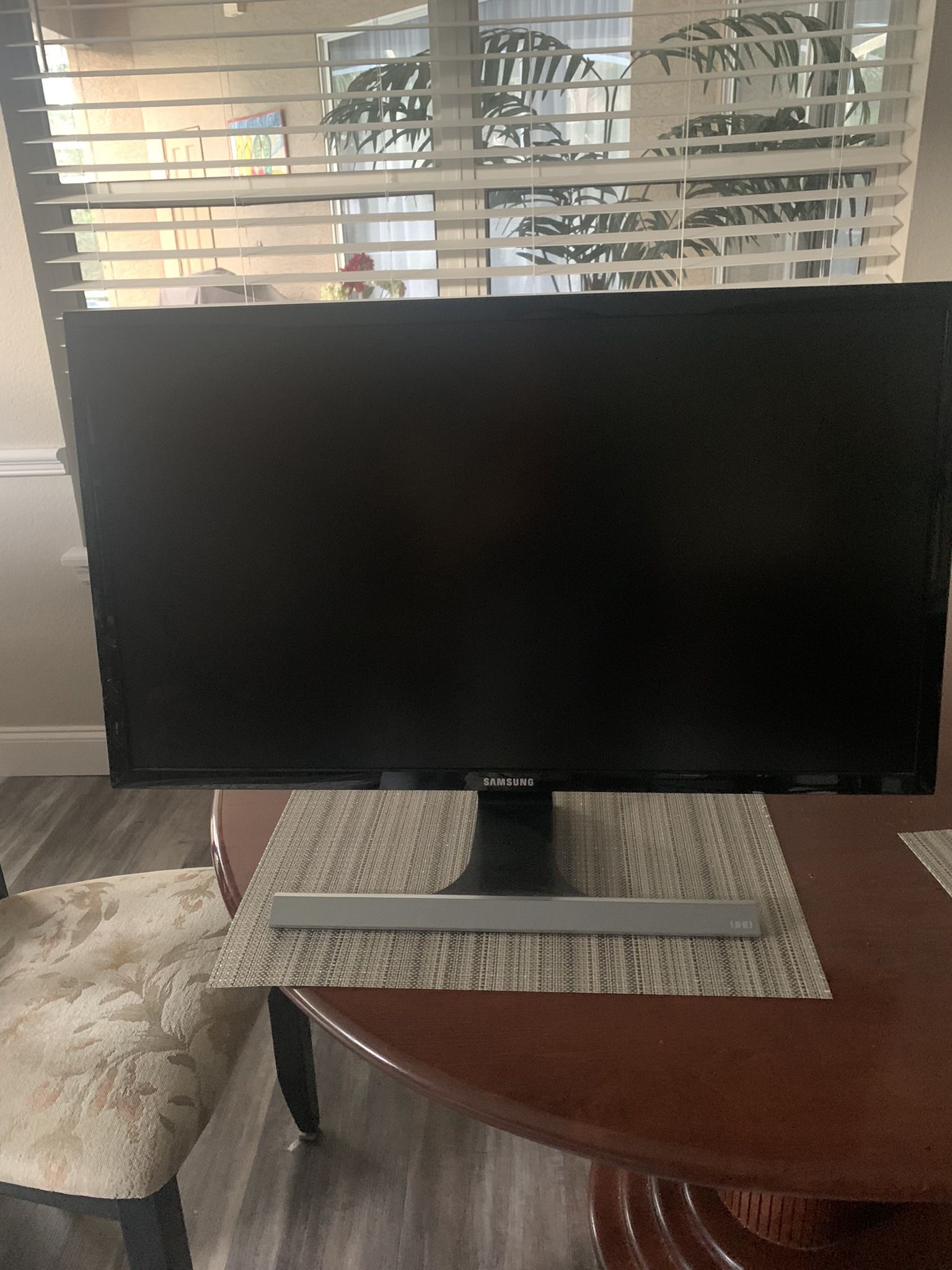 Samsung Computer Monitor 