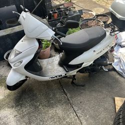 Wolf RX50