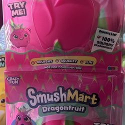 Crazy Fun Dragonfruit Squishy 