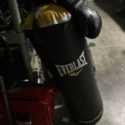 Punching Bag 