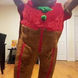 Gingerbread Man Life Size Costume