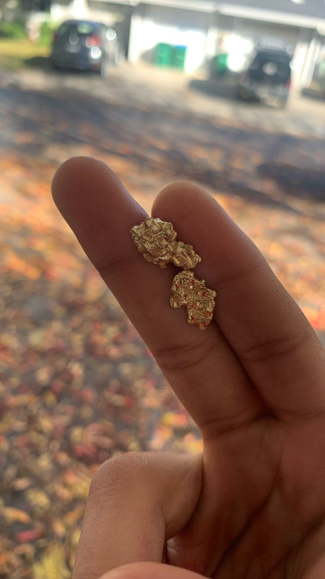 10k Golden Ear Nuggets 