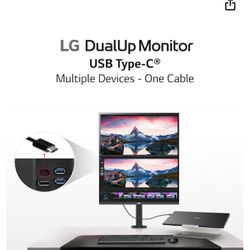 LG 28in Monitor 