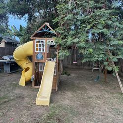 Swing Set and Slides 
