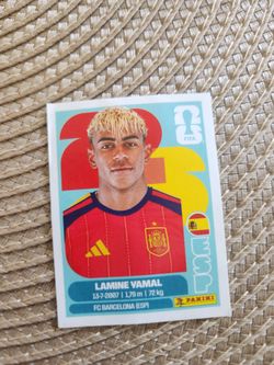 2026  fifa  world cup