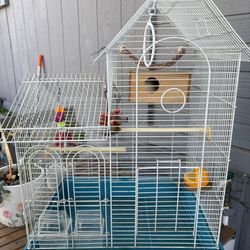Bird Cage