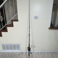 Penn Fierce III Spinning Combo 