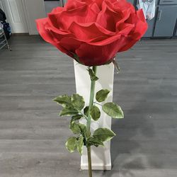 Giant Rose 
