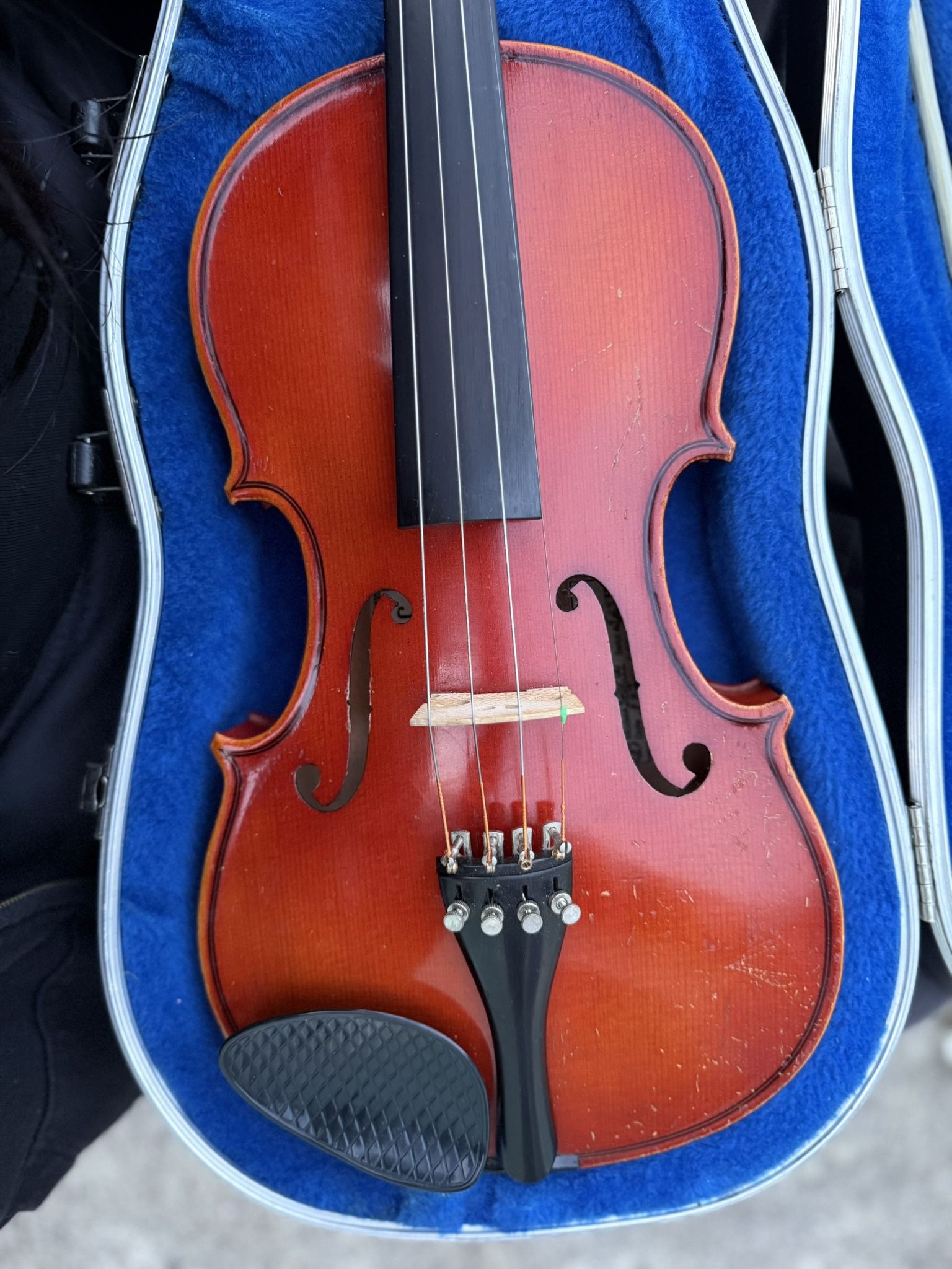 Violin