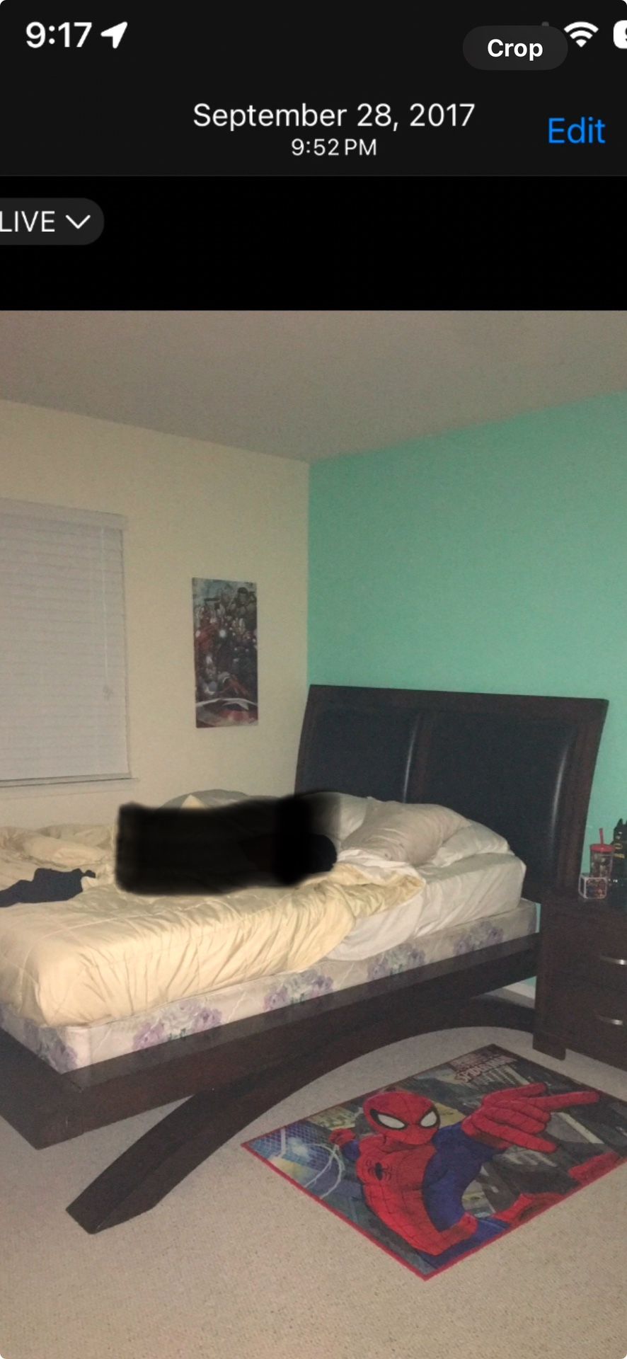 Queen Bed Frame