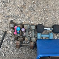 Two 20lb One 10lb Two 12lb Free Weights