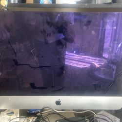 Apple Desktop
