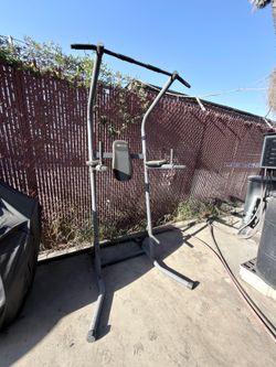 Pull up and dip station