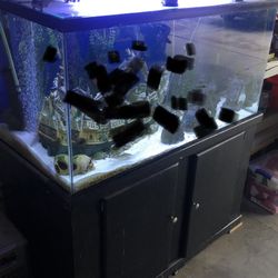 125 Gallon Fish Tank